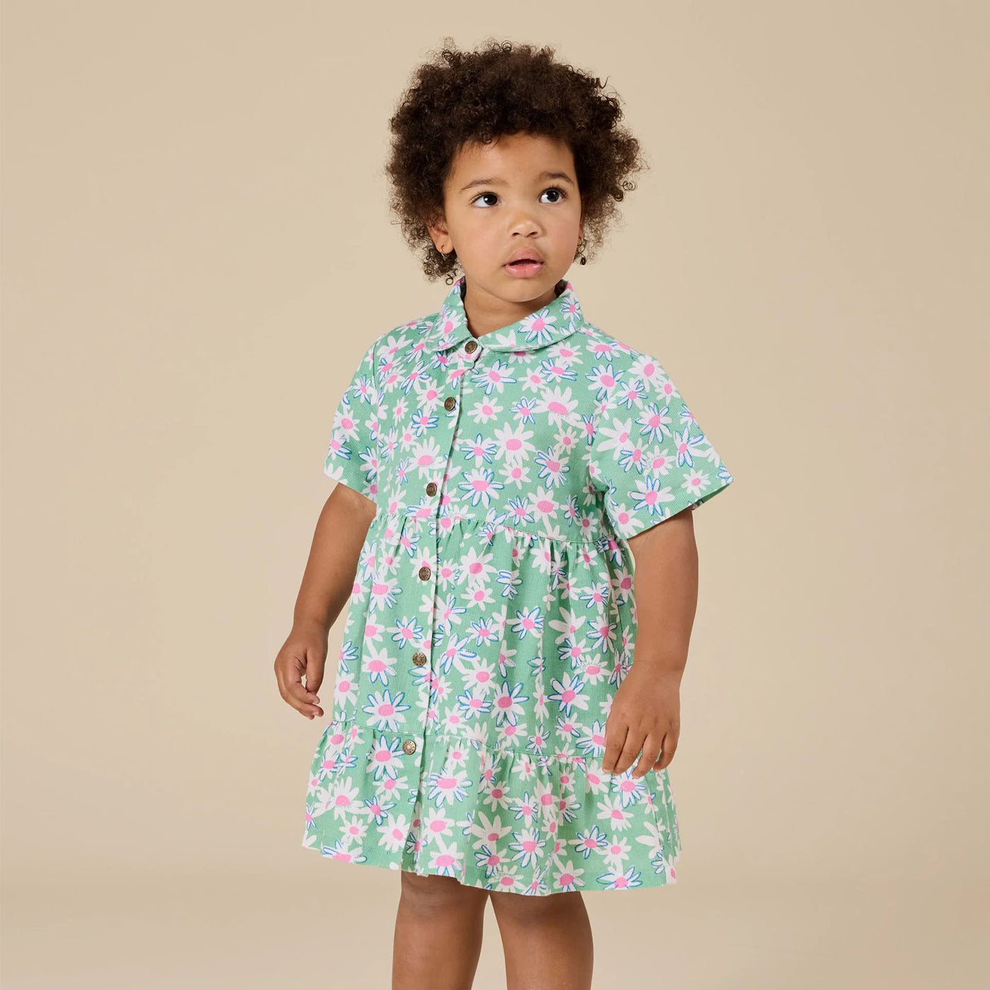 Daisy Patch Monica Dress