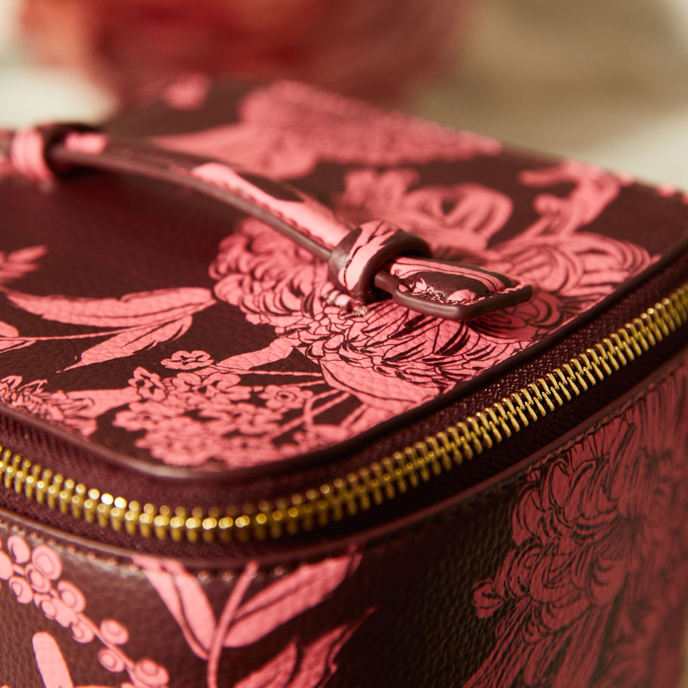 Delphine Small Vanity Case -  Garnet