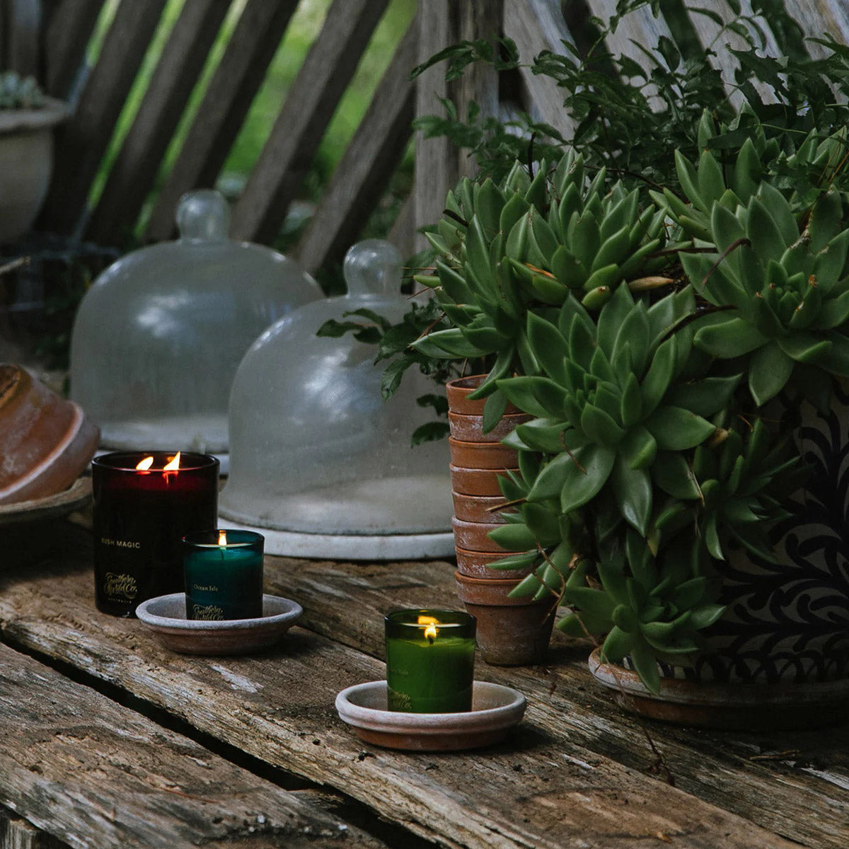 Hidden Vale Candle Mini