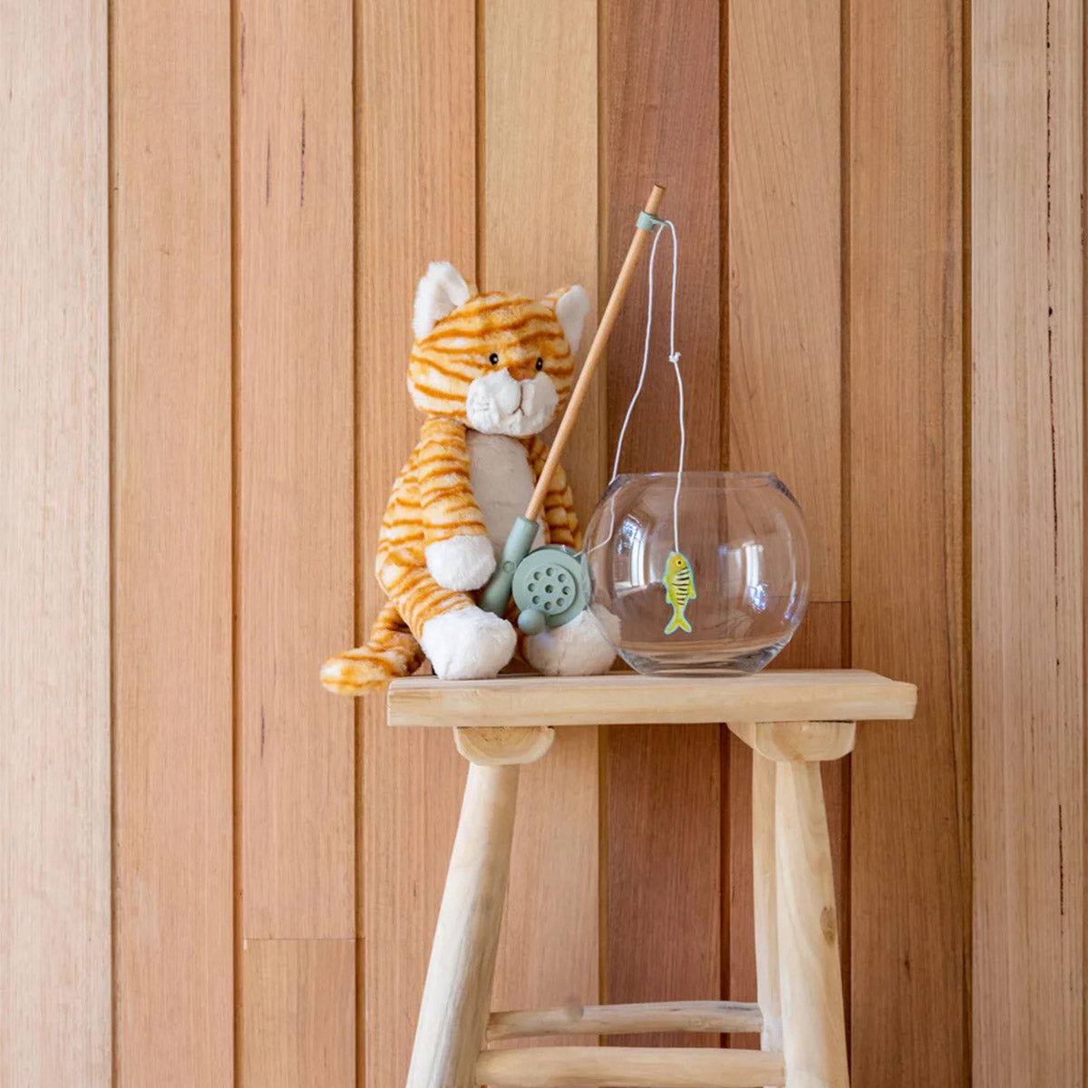 Ginger the Cat