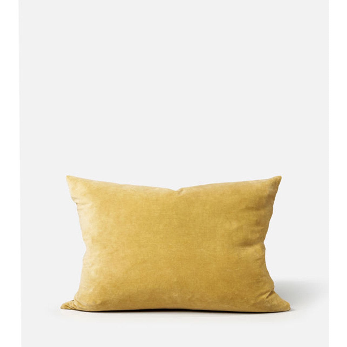 Velvet Cushion w/insert - Cider