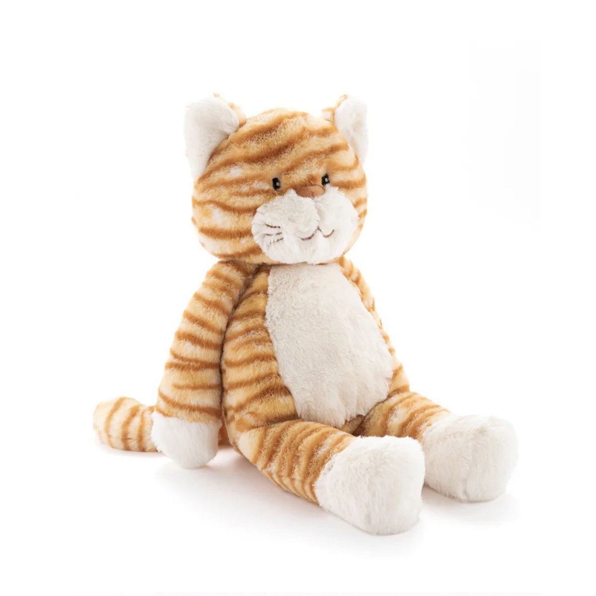 Ginger the Cat