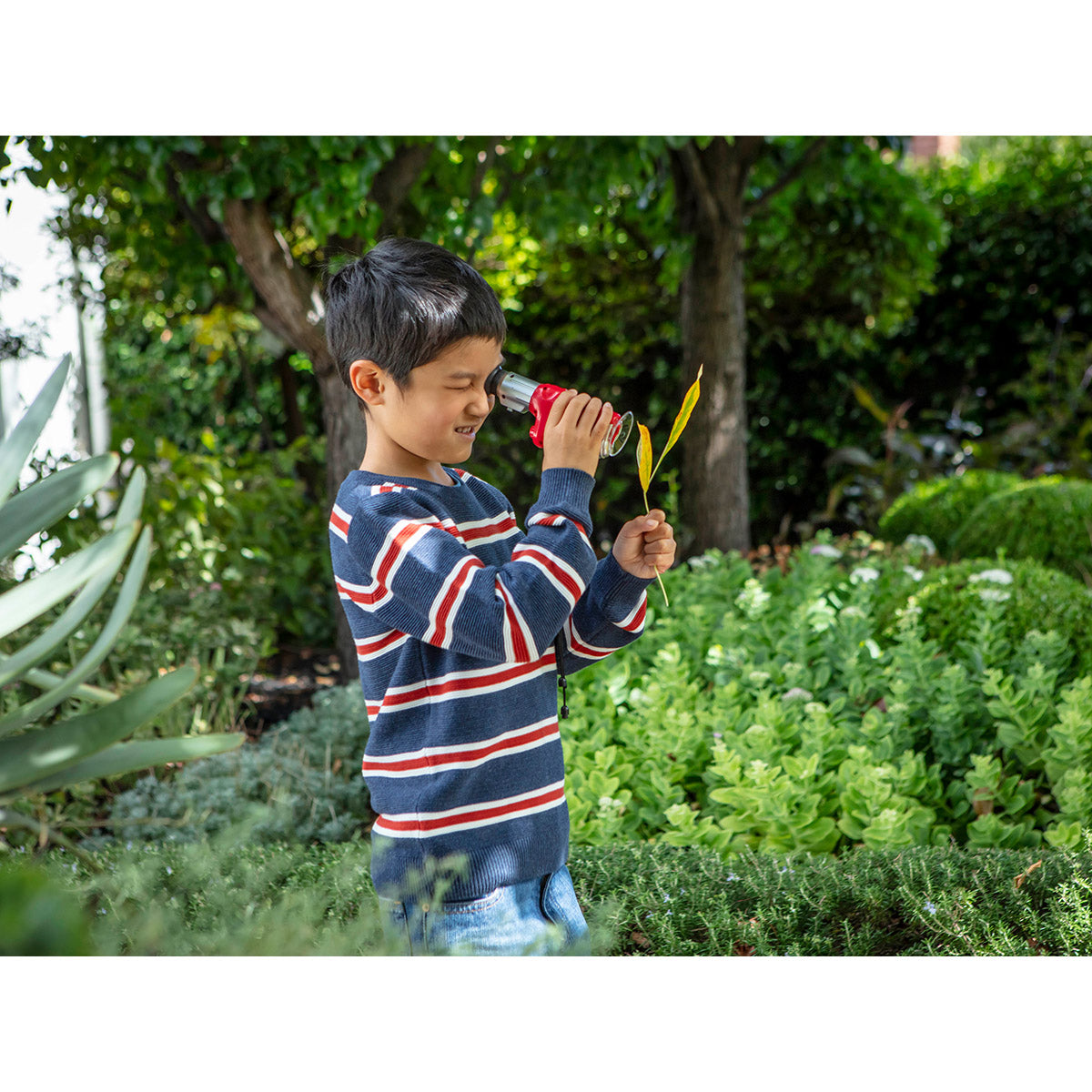 Explorer Microscope Set – Cedar and Sage Daylesford