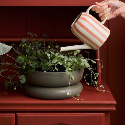 Watering Can - Coral