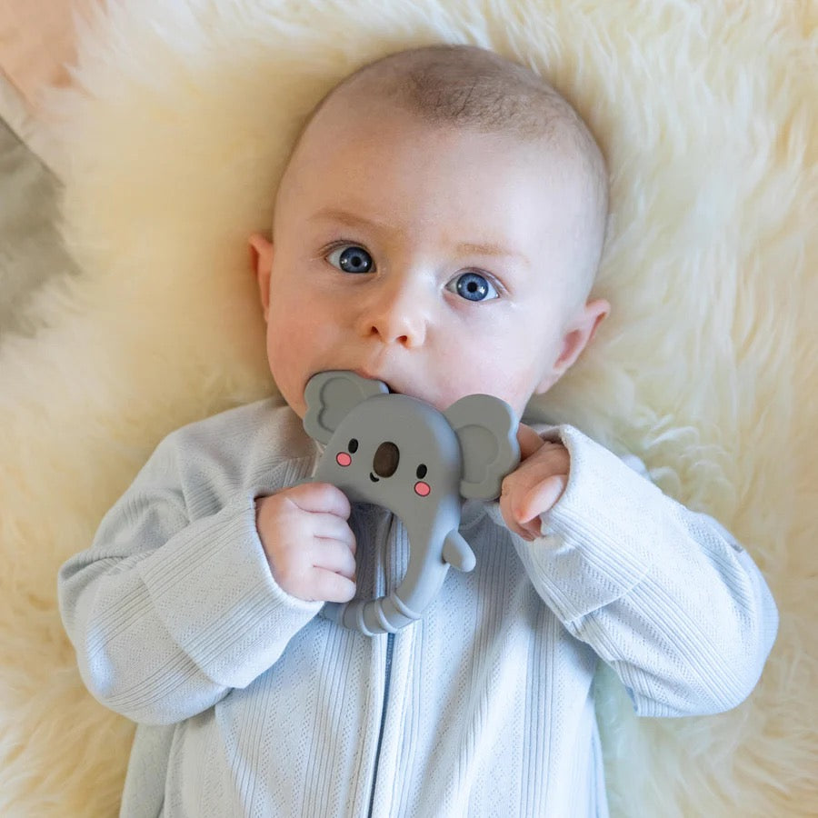 Silicone Teether -  Koala