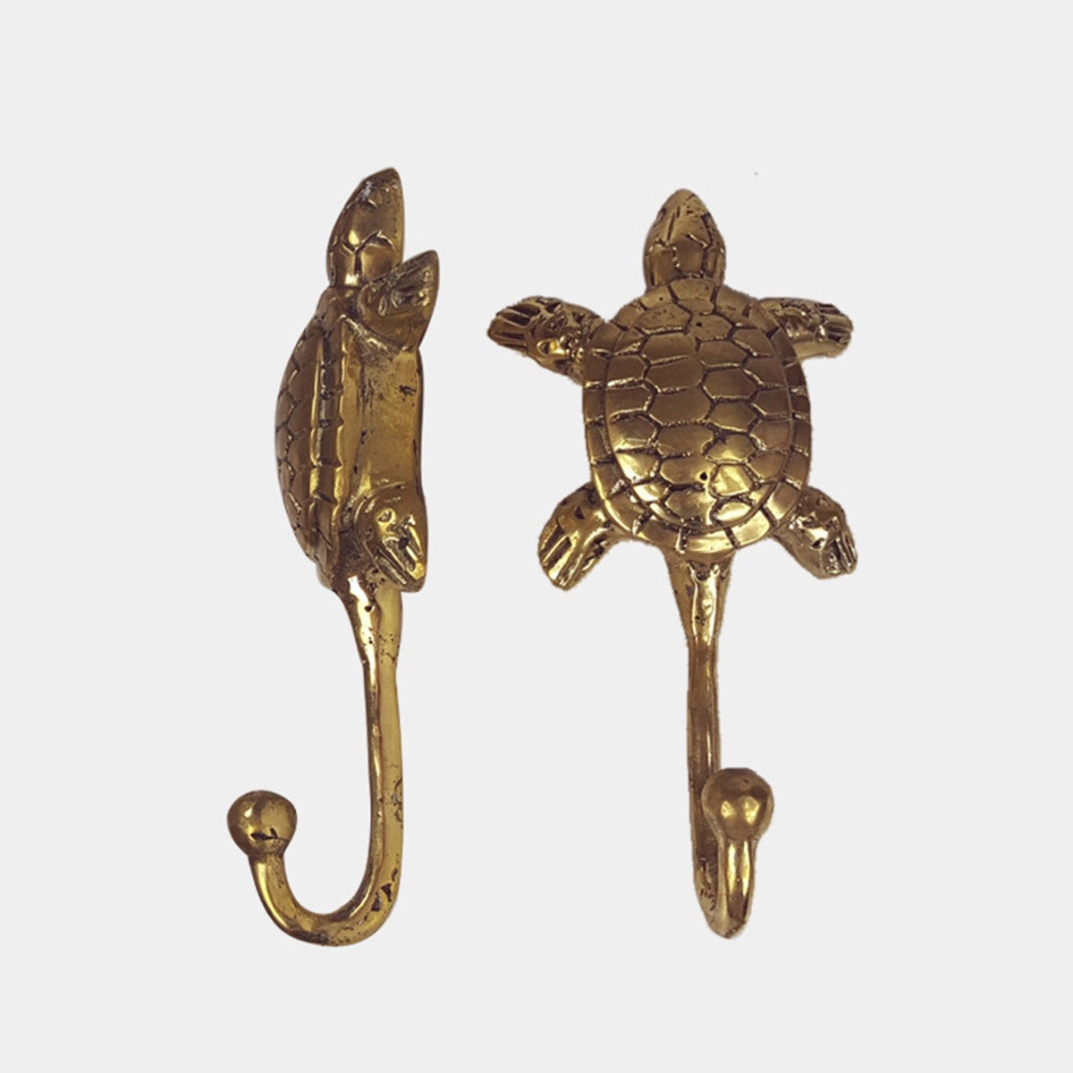Hook Turtle