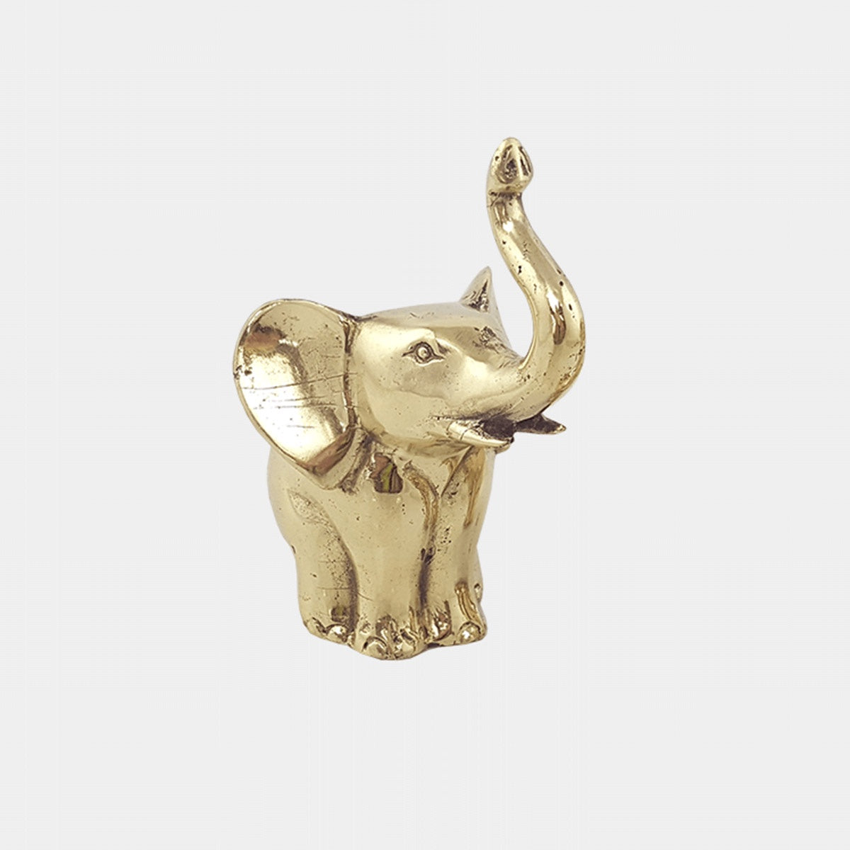 Elephant gold Large