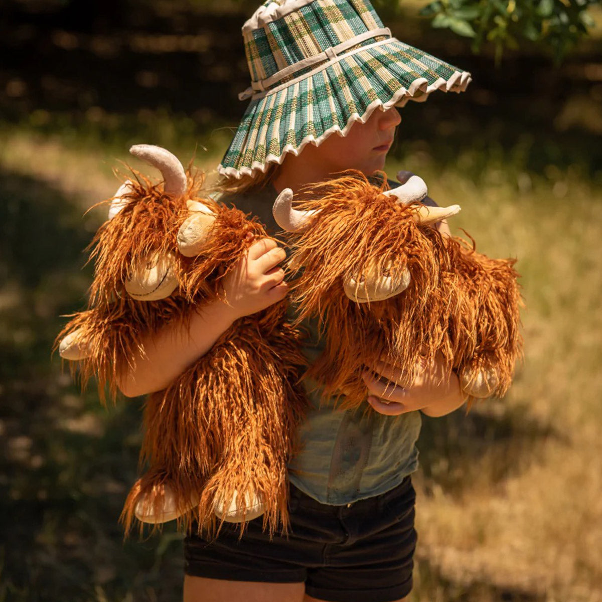 Henry the Highland Cow