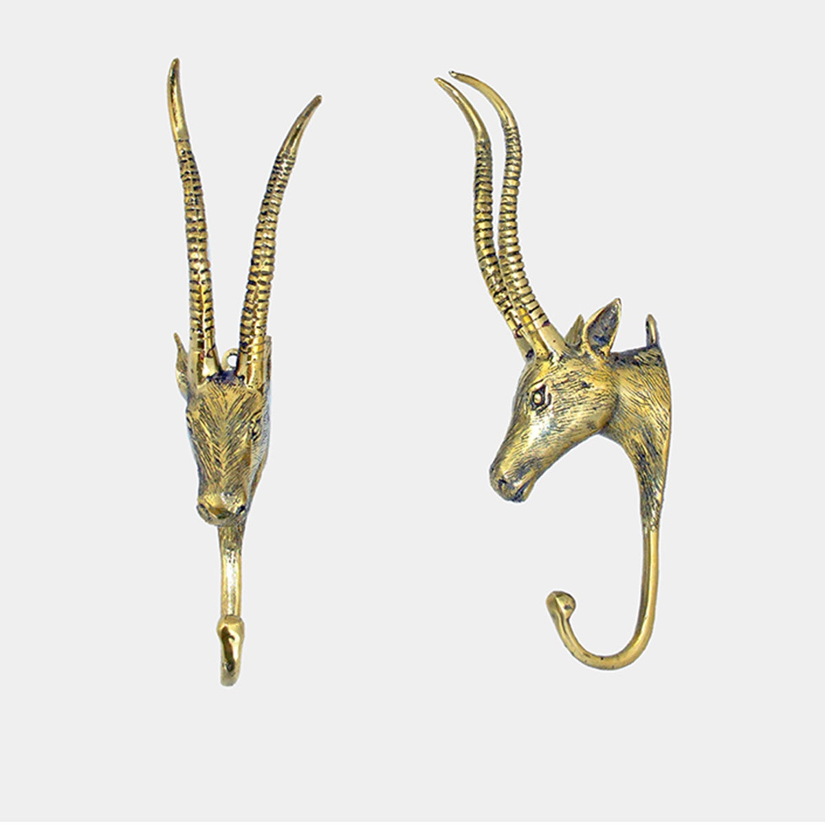 Hook Antelope